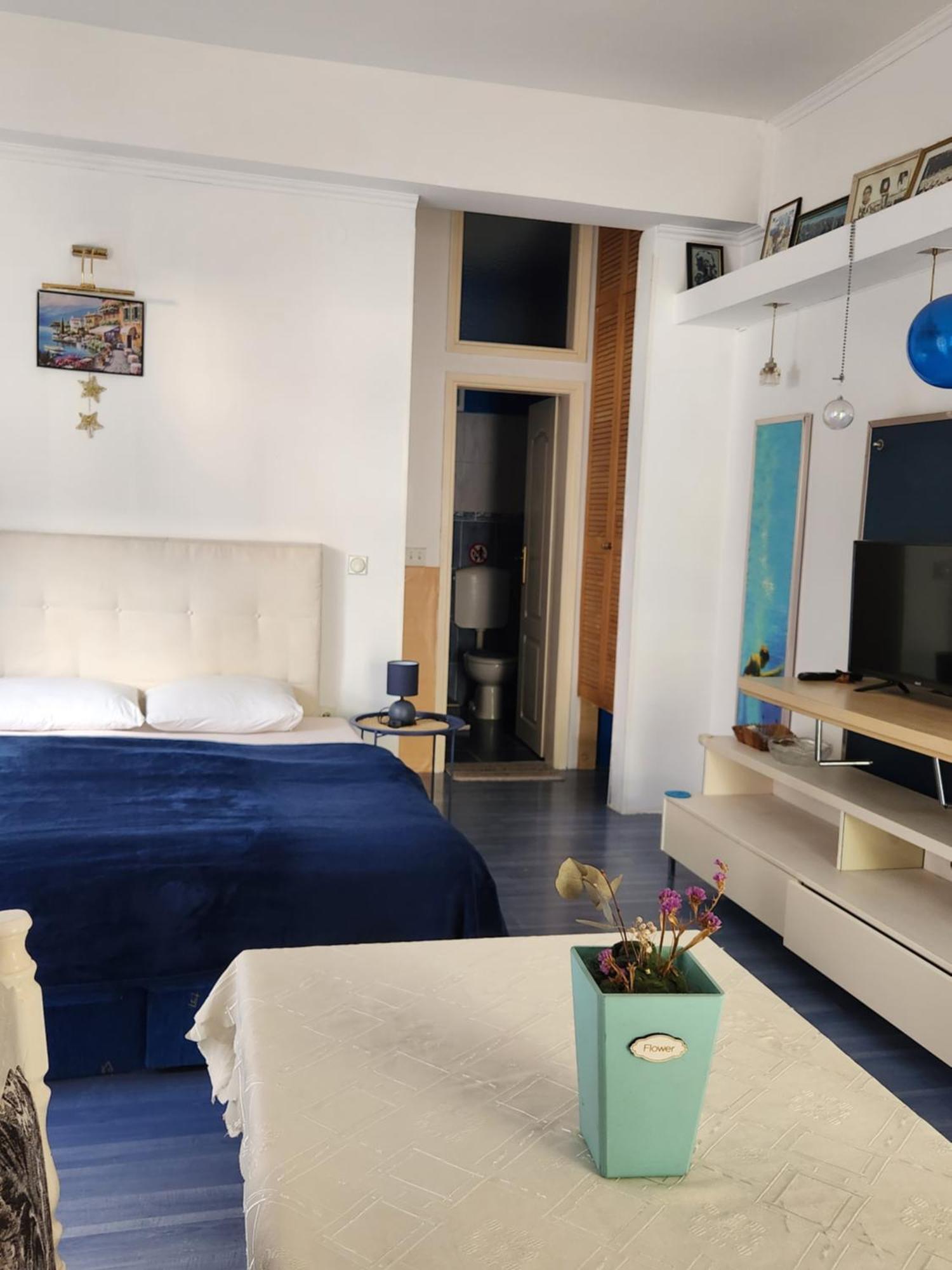 Apartments Zenit كوتور المظهر الخارجي الصورة