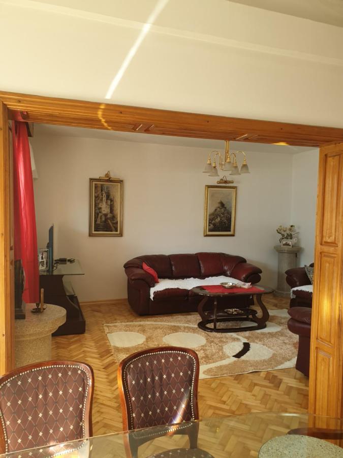 Apartments Zenit كوتور المظهر الخارجي الصورة